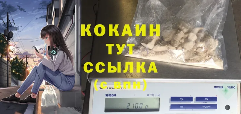 MEGA как войти  цены наркотик  Закаменск  Cocaine Эквадор 