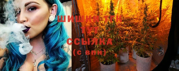 ГАЛЛЮЦИНОГЕННЫЕ ГРИБЫ Болотное