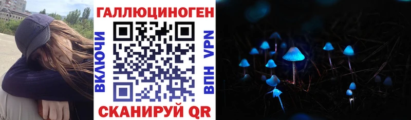Галлюциногенные грибы Psilocybine cubensis Закаменск