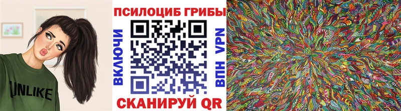 Псилоцибиновые грибы мухоморы  Закаменск 